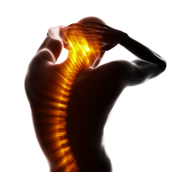 chiropractic care back spine